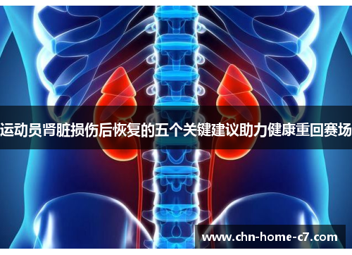 运动员肾脏损伤后恢复的五个关键建议助力健康重回赛场