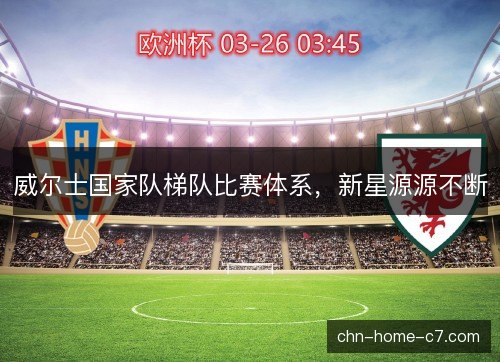 威尔士国家队梯队比赛体系，新星源源不断